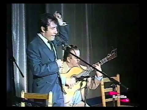 Versos Flamencos en la Poes&iacute;a: Una Fusi&oacute;n de Tradici&oacute;n y Emoci&oacute;n