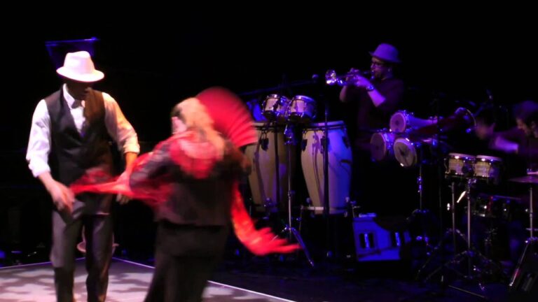 La Pasi&oacute;n y el Ritmo del Baile Flamenco