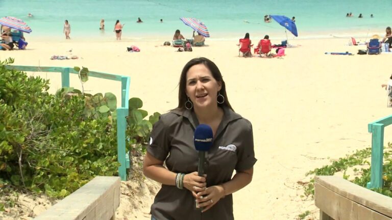 El Flamenco: Un Atractivo Tur&iacute;stico y Econ&oacute;mico