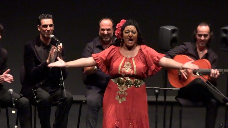 Capturando la Pasi&oacute;n: Fotograf&iacute;a Art&iacute;stica de Espect&aacute;culos Flamencos