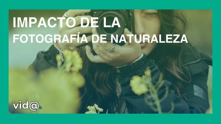Capturando la Esencia del Flamenco en Fotografía