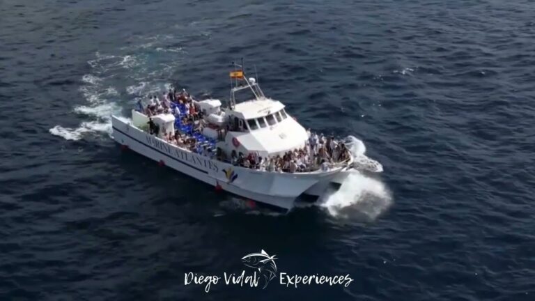 Flamenco y Vinos: Experiencias Únicas para los Sentidos