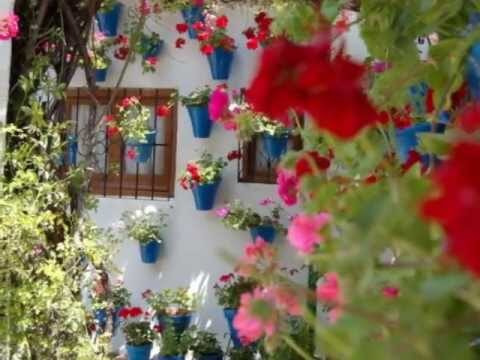 El Encanto del Flamenco en los Patios Andaluces