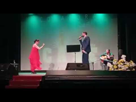 Fiesta Flamenca: Clases de Baile y Celebraci&oacute;n